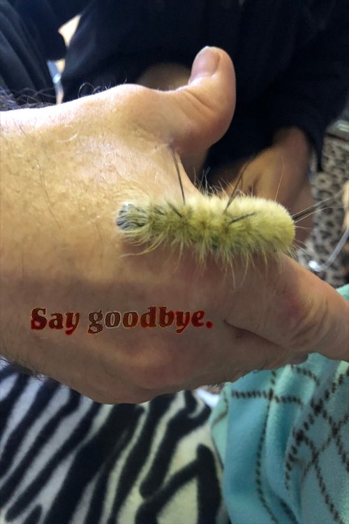 Say Goodbye movie poster