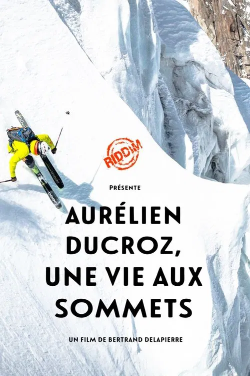 Poster do filme Une Vie aux Sommets