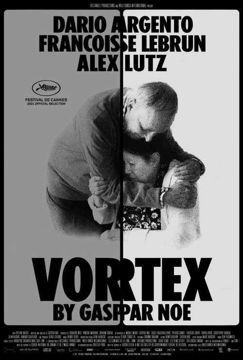 Poster do filme Vórtex