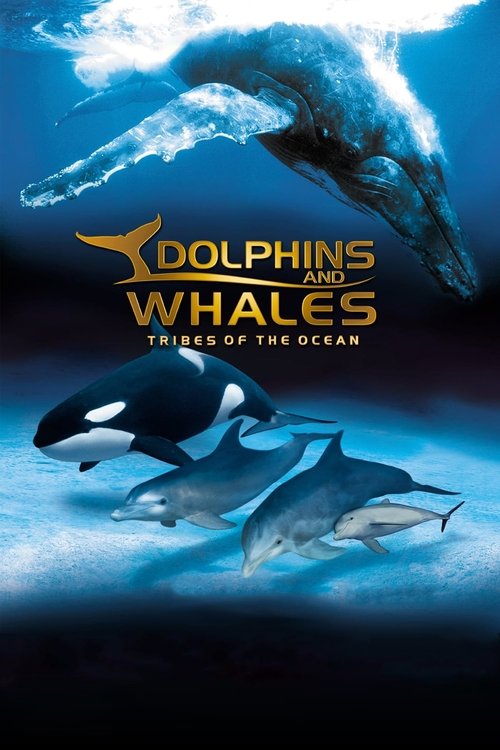 IMAX Dolphins and Whales: Tribes of the Ocean movie poster