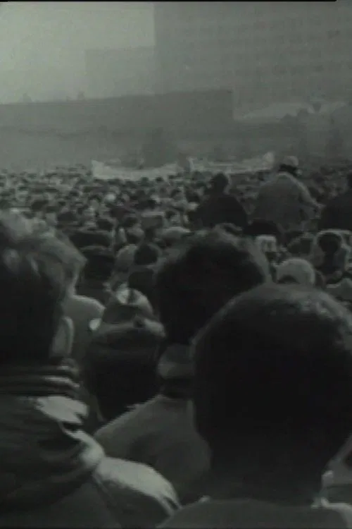 Chronicle of an Undeclared Demonstration movie poster