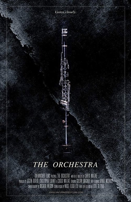 Poster do filme The Orchestra