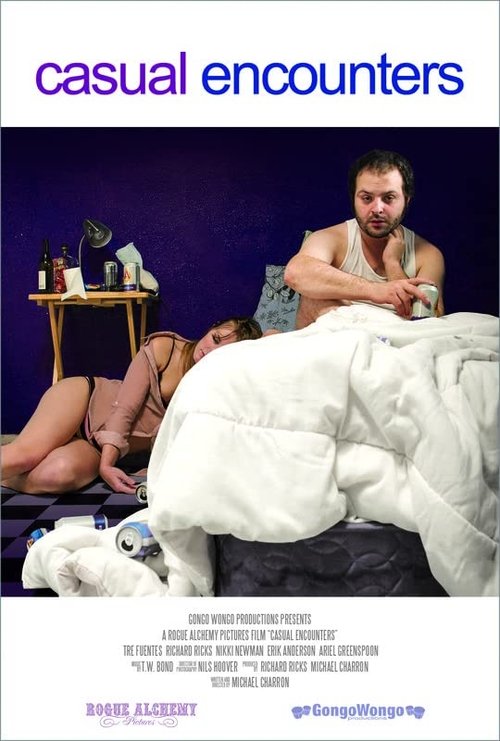 Poster do filme Casual Encounters