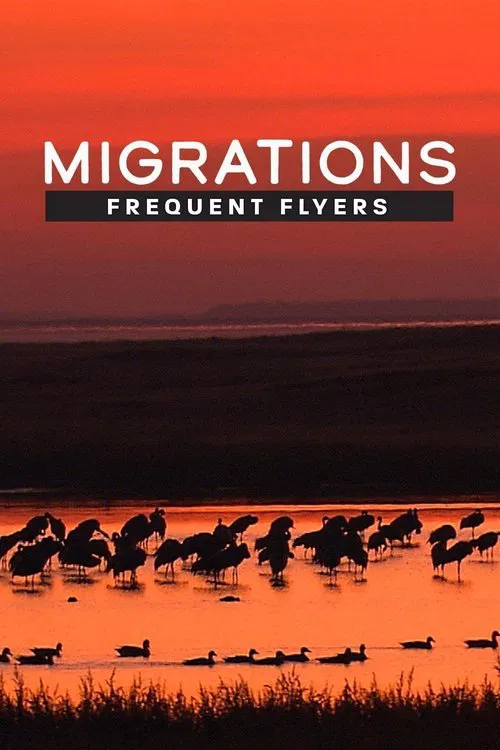 Migrations: Frequent Flyers movie poster