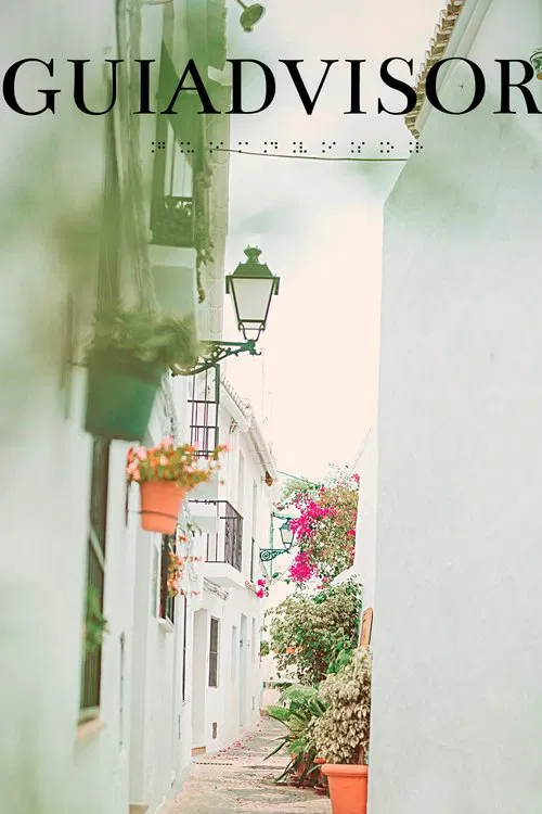 Guiadvisor movie poster