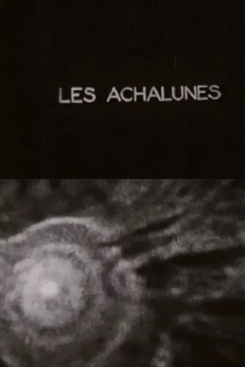 The Achalunés movie poster