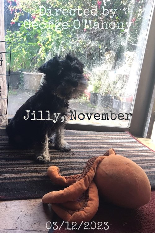 Poster do filme Jilly, November
