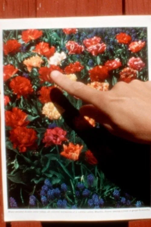 On Unshaped Dialogue movie poster