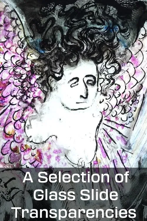 A Selection of Glass Slide Transparencies movie poster