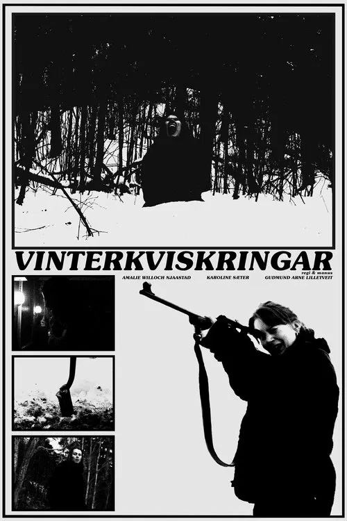 Poster do filme Vinterkviskringar