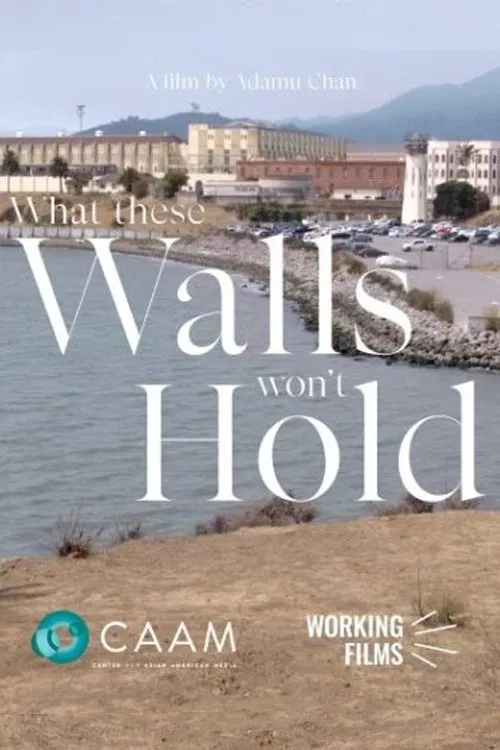 Poster do filme What These Walls Won't Hold