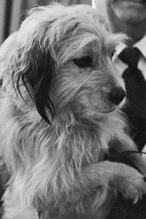 Benjean profile picture