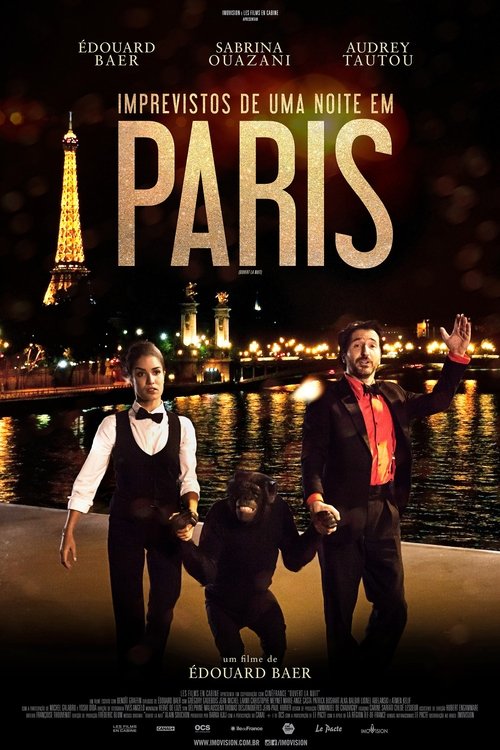 Poster do filme Imprevistos de uma Noite Em Paris