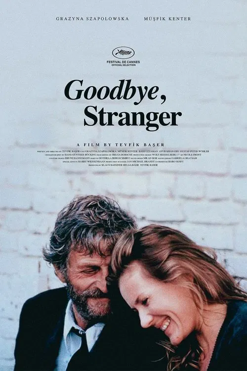Goodbye Stranger movie poster
