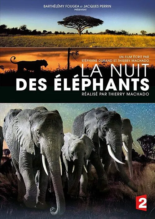 La Nuit des éléphants movie poster