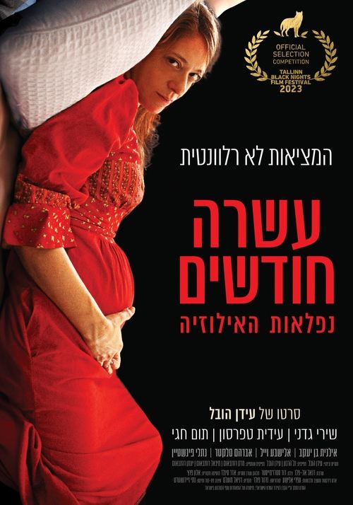 Ten Months movie poster