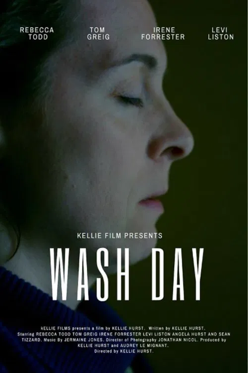 Wash Day movie poster
