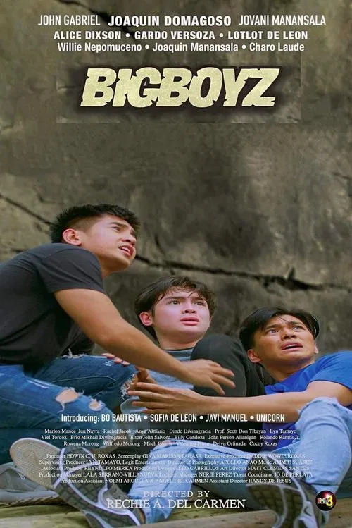 Bigboyz movie poster