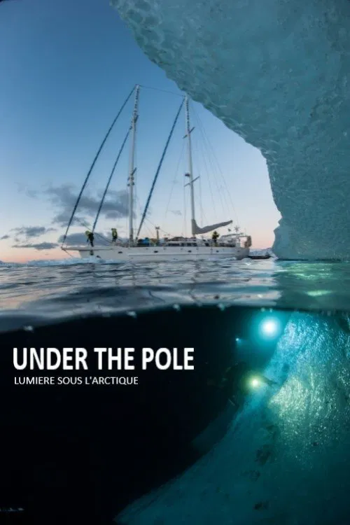 Under The Pole : Lumière Sous l'Arctique movie poster