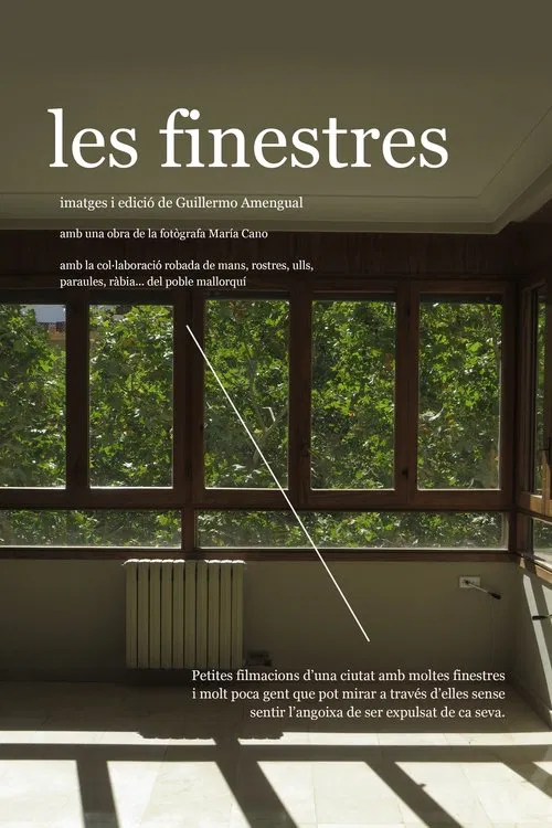 The windows movie poster