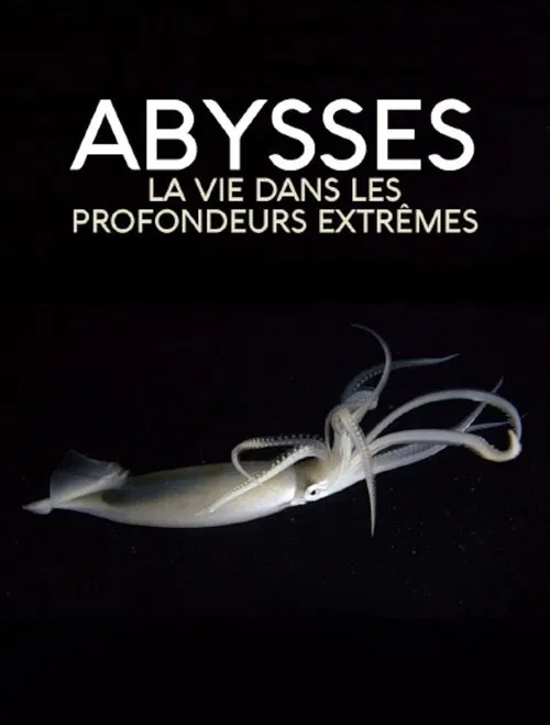 Extreme der Tiefsee - Abysses movie poster