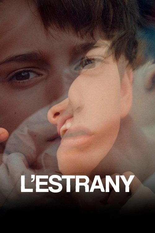 The Strange movie poster