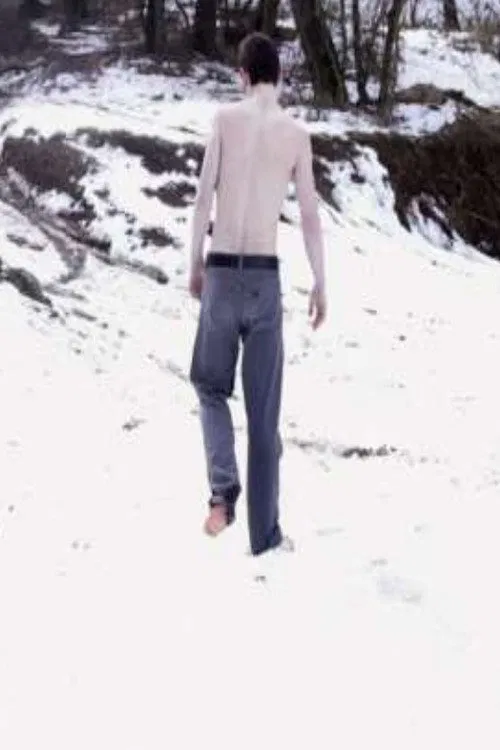 Poster do filme En flicka