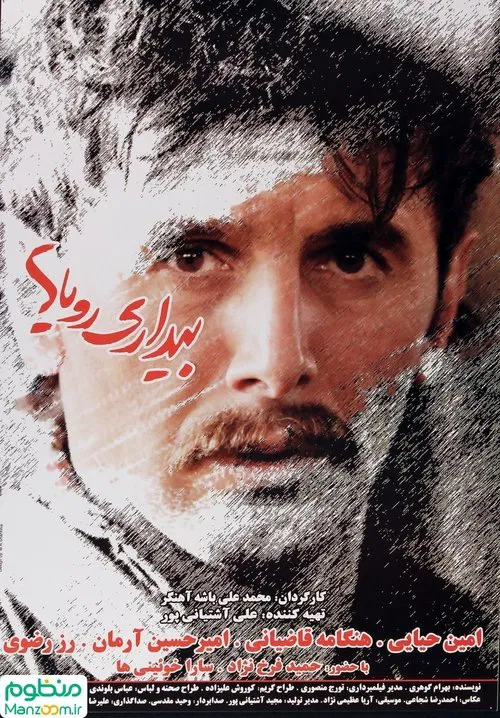 Wakefulness of Dreams movie poster