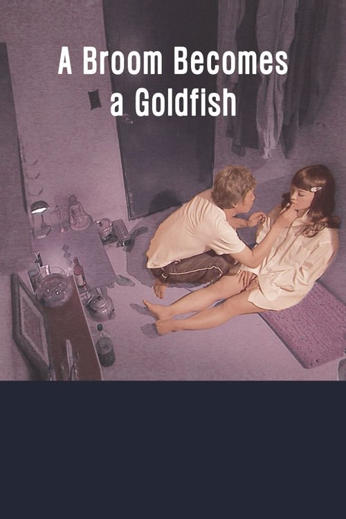A Broom Becomes a Goldfish movie poster