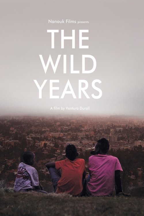 The Wild Years movie poster
