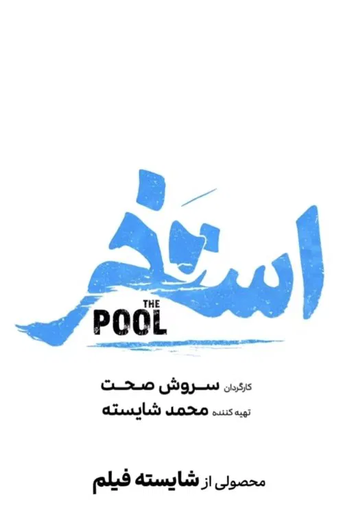 Poster do filme The pool