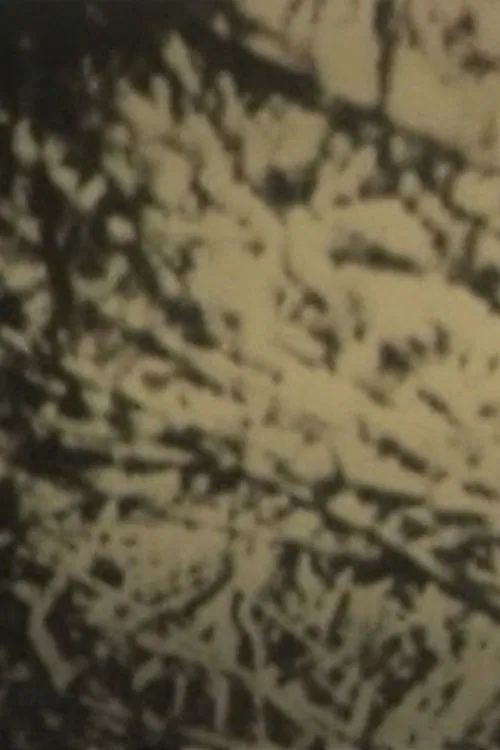 Full Of Color movie poster