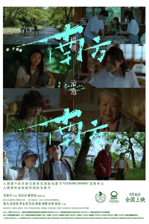 Back to the South movie poster