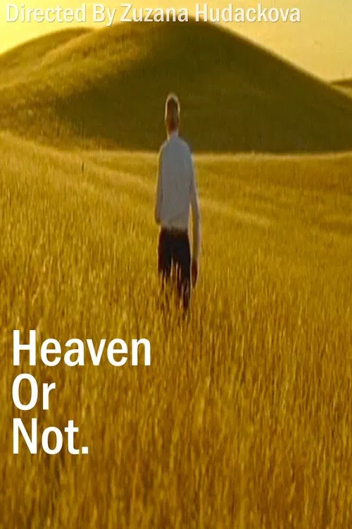 Heaven Or Not movie poster