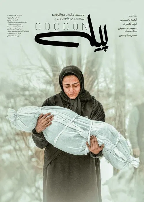 Cocoon movie poster