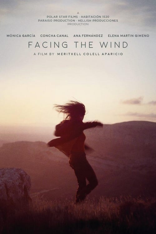 Facing the Wind movie poster