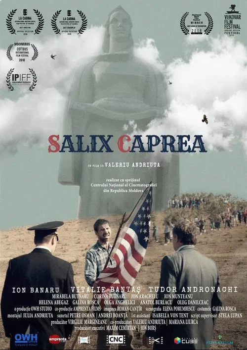 Poster do filme Salix Caprea