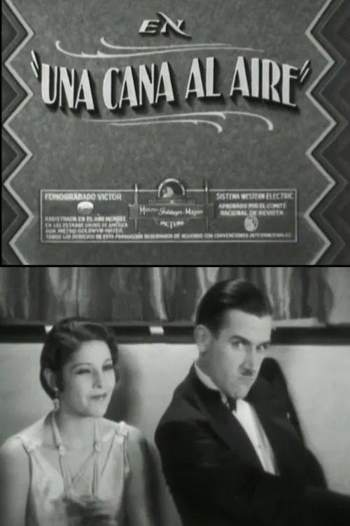 A gray in the air movie poster