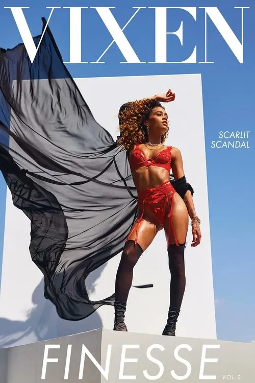 Poster do filme Finesse 2