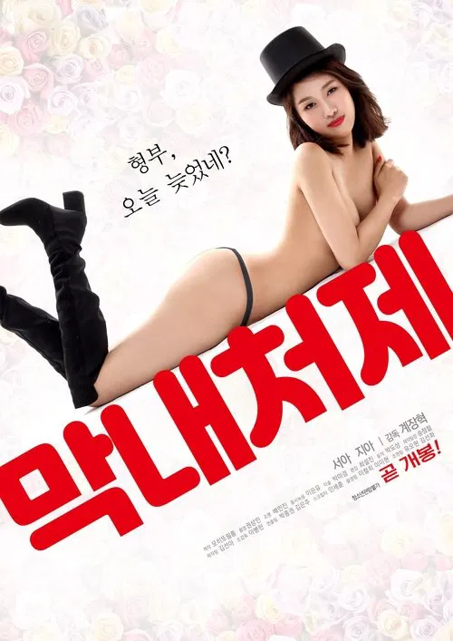 The Youngest Sister-in-law movie poster
