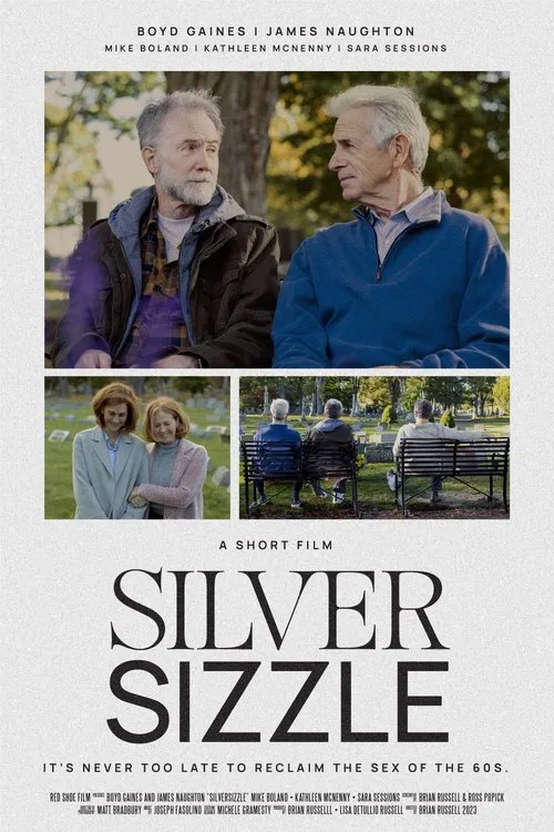 Poster do filme SilverSizzle