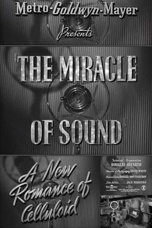 A New Romance of Celluloid: The Miracle of Sound movie poster
