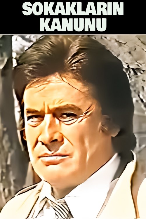 Poster do filme Sokakların Kanunu