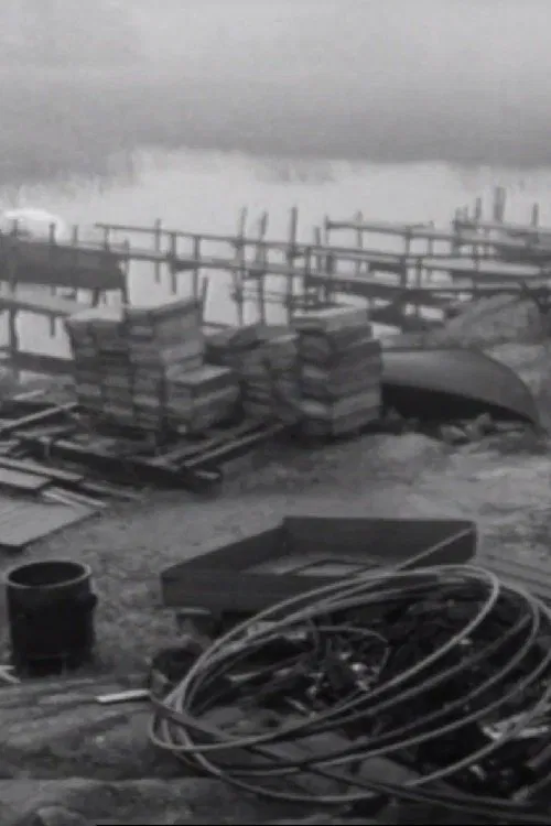 Transform Sweden movie poster