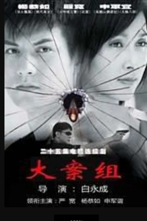 大案组 tv show poster