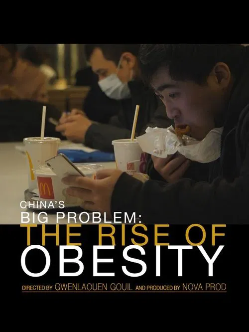 China's Big Problem: The Rise of Obesity movie poster