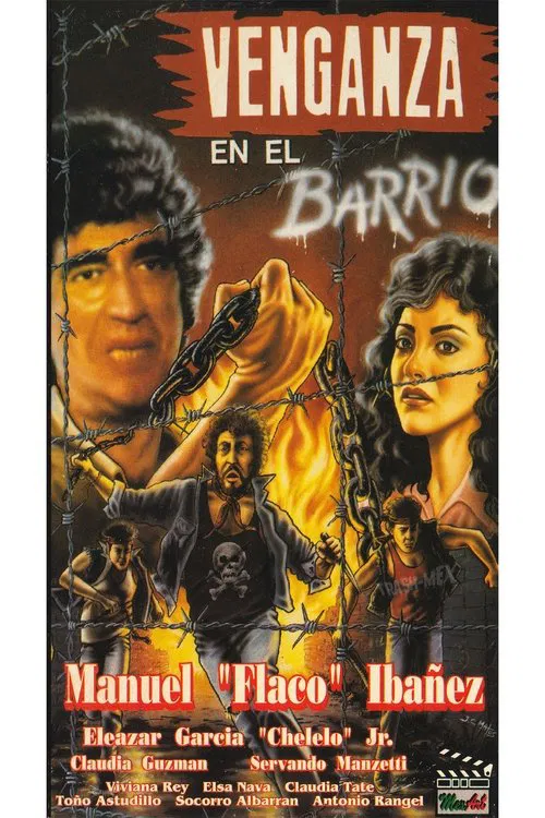 Venganza en el barrio movie poster