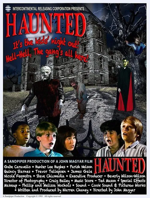 Haunted movie poster