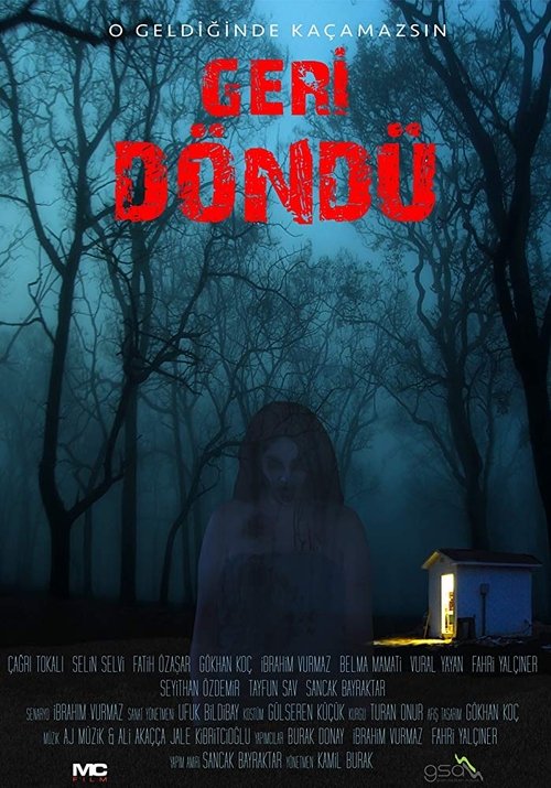 Geri Döndü movie poster