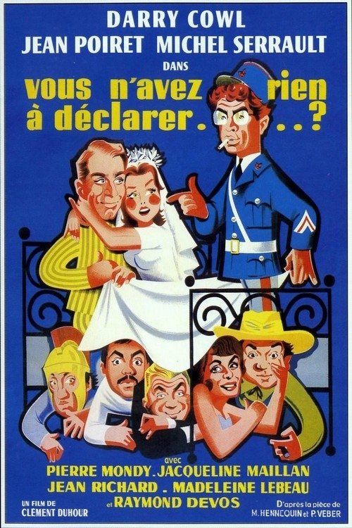 You Have Nothing to Declare? movie poster